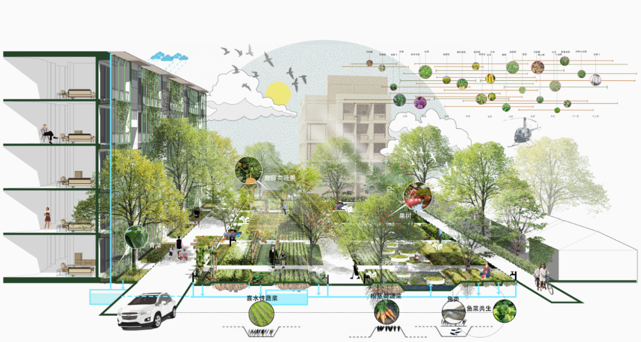 第十三屆園冶杯一等獎(jiǎng)作品|一蔬難求 疫鍵耕新