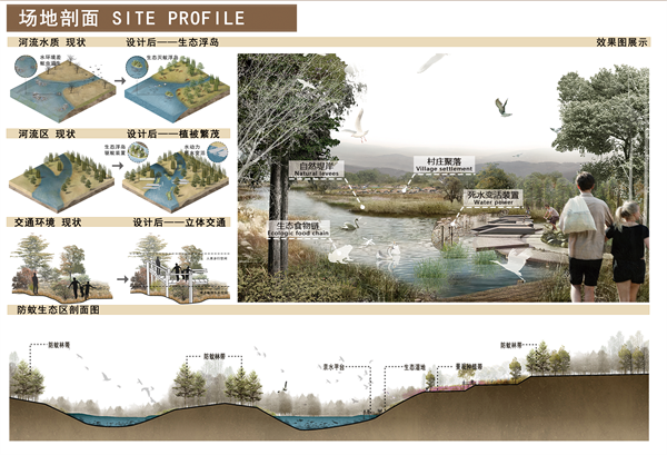 第十三屆園冶杯一等獎作品 | “保”疆衛境·無蚊而愈