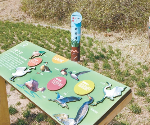 北京海淀：生態(tài)代碼寫入創(chuàng)新程序