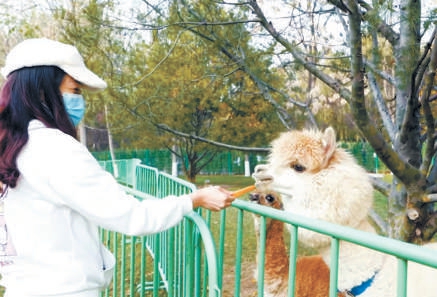 北京海淀：生態(tài)代碼寫入創(chuàng)新程序