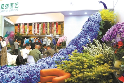 花卉經(jīng)濟(jì)復(fù)蘇迎來(lái)更多合作發(fā)展機(jī)遇