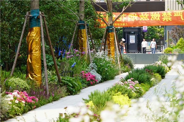 園冶杯參賽作品丨上海南山虹橋領峯項目花境工程