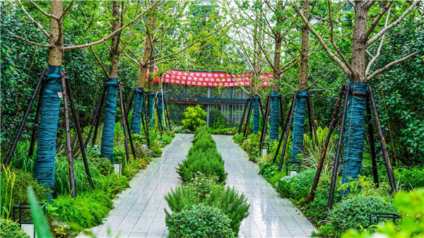 園冶杯參賽作品丨上海南山虹橋領峯項目花境工程