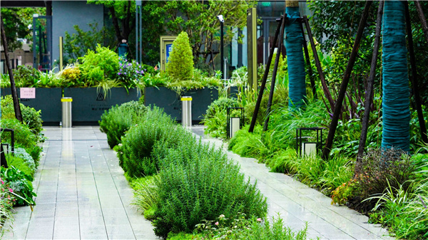 園冶杯參賽作品丨上海南山虹橋領峯項目花境工程