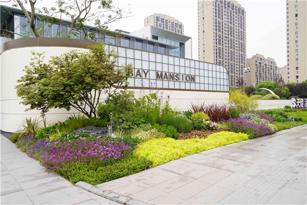 園冶杯參賽作品丨吳江WJ-J-2022-001號(hào)地塊項(xiàng)目 展示區(qū)花境工程