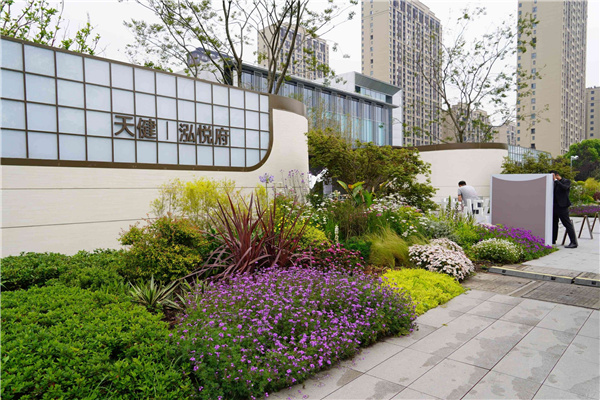 園冶杯參賽作品丨吳江WJ-J-2022-001號(hào)地塊項(xiàng)目 展示區(qū)花境工程