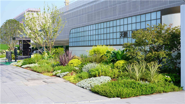 園冶杯參賽作品丨吳江WJ-J-2022-001號(hào)地塊項(xiàng)目 展示區(qū)花境工程