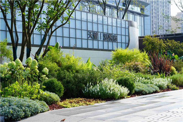 園冶杯參賽作品丨吳江WJ-J-2022-001號(hào)地塊項(xiàng)目 展示區(qū)花境工程