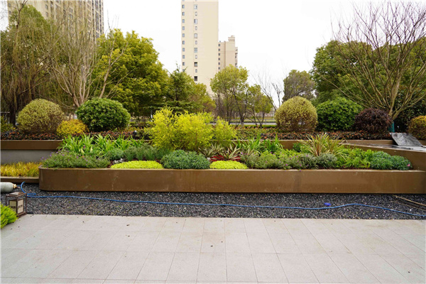 園冶杯參賽作品丨吳江WJ-J-2022-001號(hào)地塊項(xiàng)目 展示區(qū)花境工程