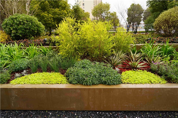 園冶杯參賽作品丨吳江WJ-J-2022-001號(hào)地塊項(xiàng)目 展示區(qū)花境工程