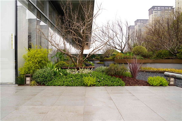 園冶杯參賽作品丨吳江WJ-J-2022-001號(hào)地塊項(xiàng)目 展示區(qū)花境工程