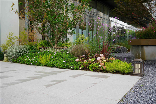 園冶杯參賽作品丨吳江WJ-J-2022-001號(hào)地塊項(xiàng)目 展示區(qū)花境工程