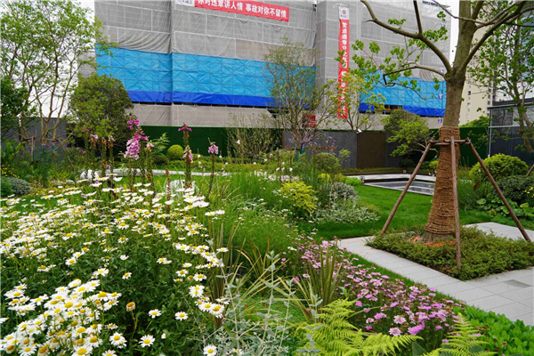 園冶杯參賽作品丨吳江WJ-J-2022-001號(hào)地塊項(xiàng)目 展示區(qū)花境工程