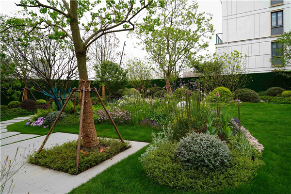 園冶杯參賽作品丨吳江WJ-J-2022-001號(hào)地塊項(xiàng)目 展示區(qū)花境工程