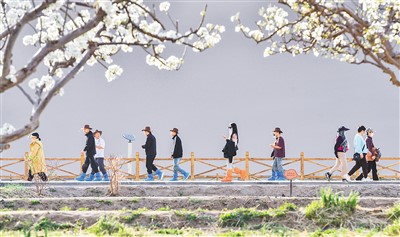 中國文旅市場春意盎然