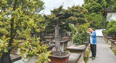 走進成都世園會：山水園林帶動文旅消費