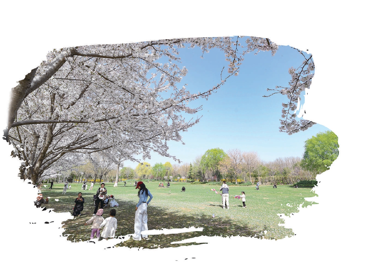 京畿大地“花式解鎖”春日經(jīng)濟(jì)