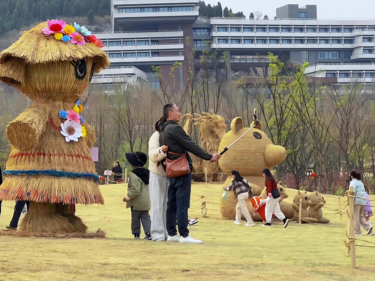 徐州園博園第三屆花海大地藝術季絢麗啟幕