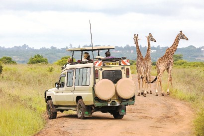 他山之石：內(nèi)羅畢國(guó)家公園的和諧共生之路