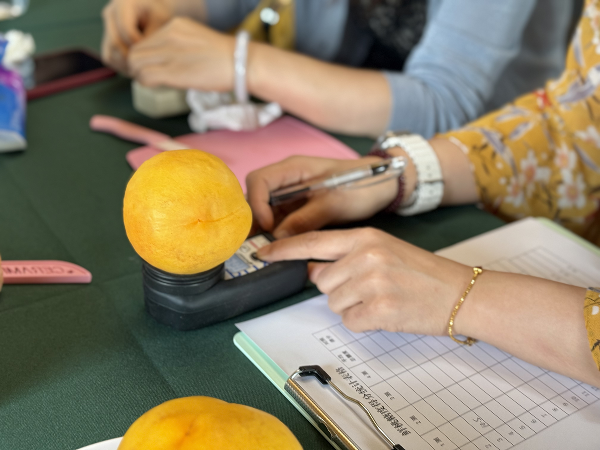 碩果飄香·豐涵海淀 | 北京舉辦鮮桃擂臺賽系列活動