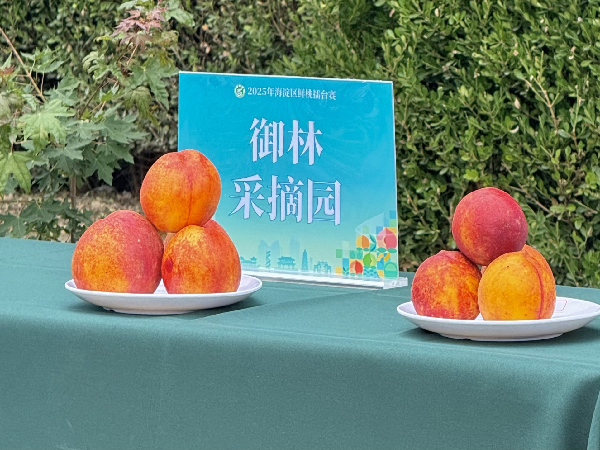 碩果飄香·豐涵海淀 | 北京舉辦鮮桃擂臺賽系列活動