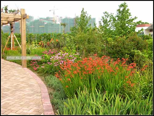 某公園的花境設計