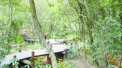 杭州半山虎山公園