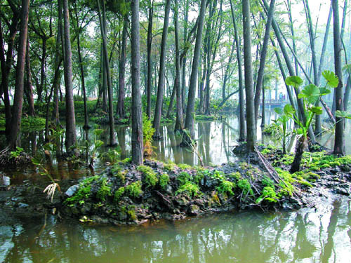 杭州西湖西進區(qū)域規(guī)劃