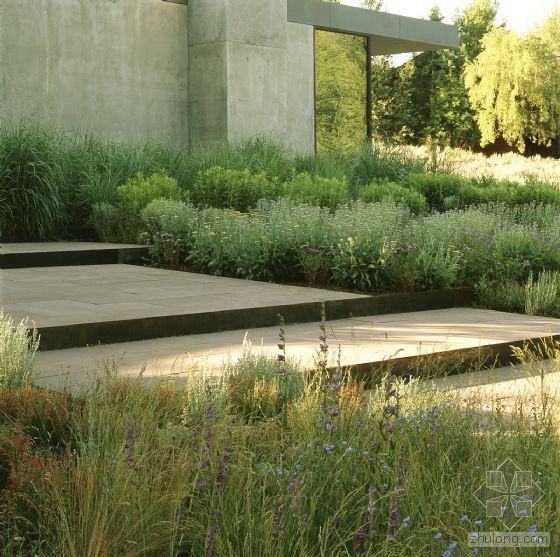 Ketchum 居住區設計