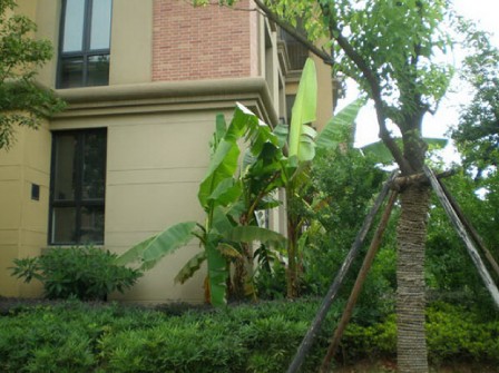 杭州綠城翡翠城