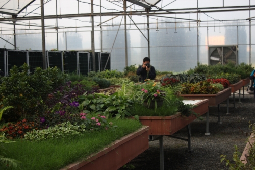 屋頂綠化模塊展示區