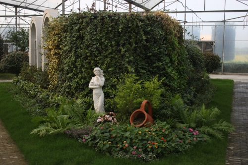 屋頂綠化模塊展示區