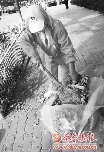 山東:城區大量落葉處理成難題