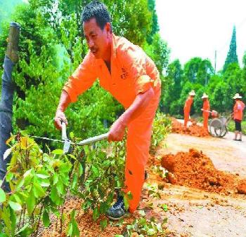 浙江金華綠化鄉(xiāng)道建設美麗鄉(xiāng)村