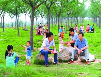 丹江口市在漢江兩岸實(shí)施綠化亮化工程