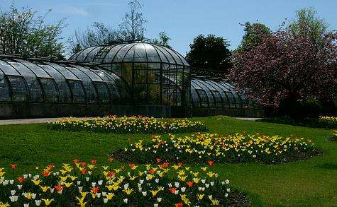 金頭公園大溫室