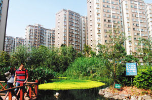 專家組正在檢查小區景觀綠化用水情況。