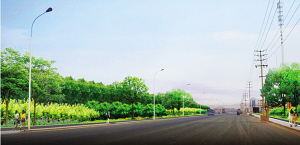 新北路綠化工程綠化栽植即將全面啟動