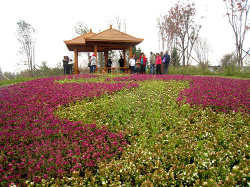 造型獨特的花圃吸引眾多游客駐足留影(本網記者丁雋攝影)