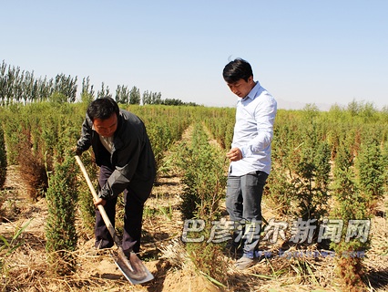 返鄉創業青年劉利云:奏響綠色增收交響曲