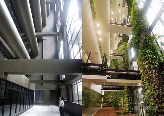 新加坡懸掛花園