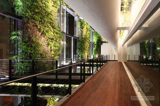 新加坡懸掛花園