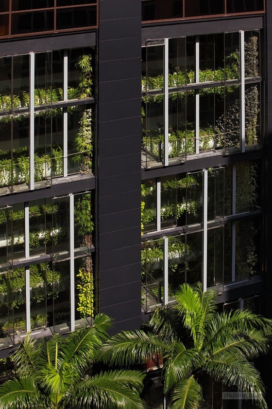 新加坡懸掛花園