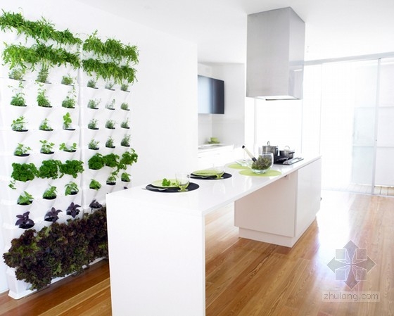 為陽臺、露臺和廚房設計的迷你垂直花園 中國風景園林網