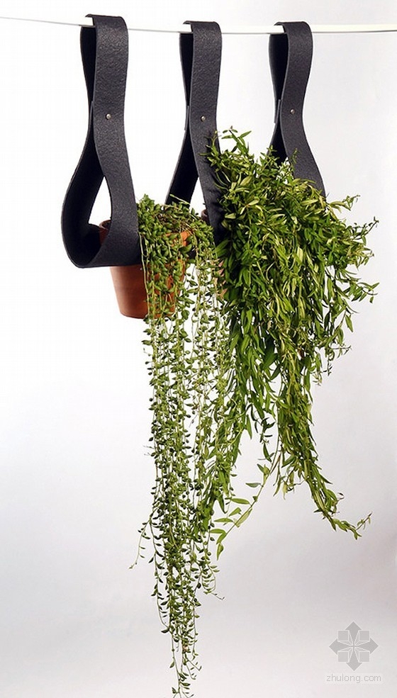 漂亮的懸掛式綠植系統 中國風景園林網