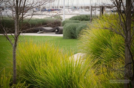 布萊頓海濱樂園