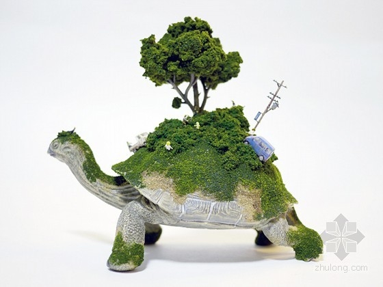 微觀生態(tài)系統(tǒng)