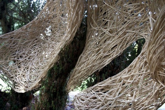 藝術家Laura Bacon用柳樹編織的強大雕塑