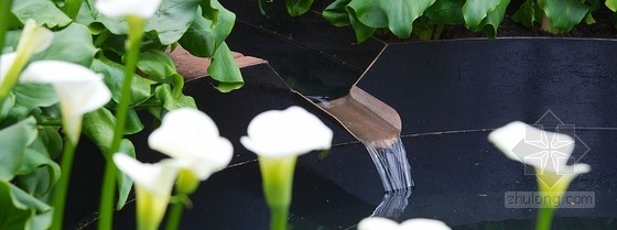 2013切爾西花展金獎:東村花園