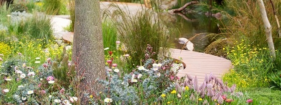 2013切爾西花展最佳花園獎(jiǎng)